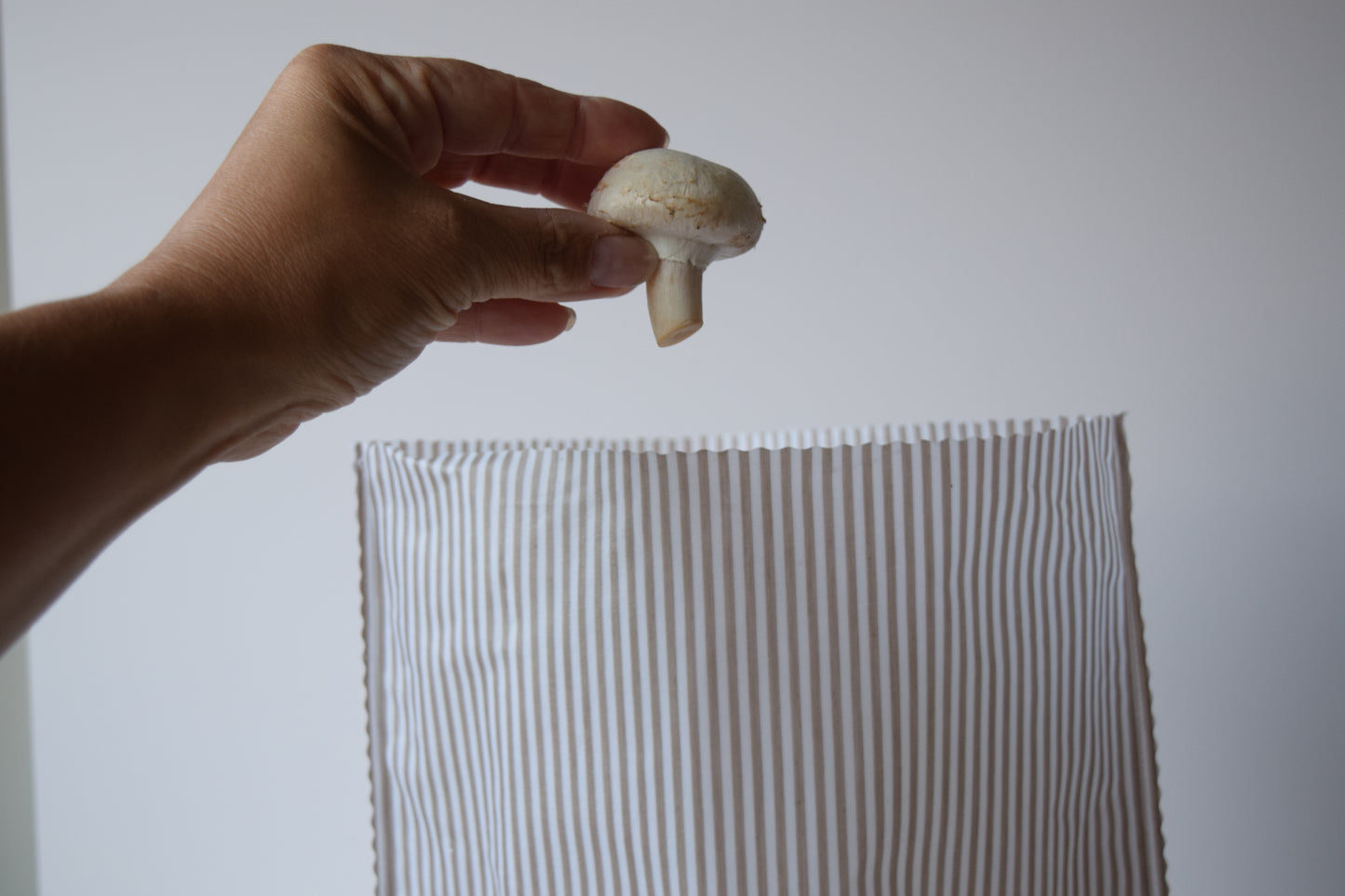 Lou-bees Beige Striped Beeswax Bag.