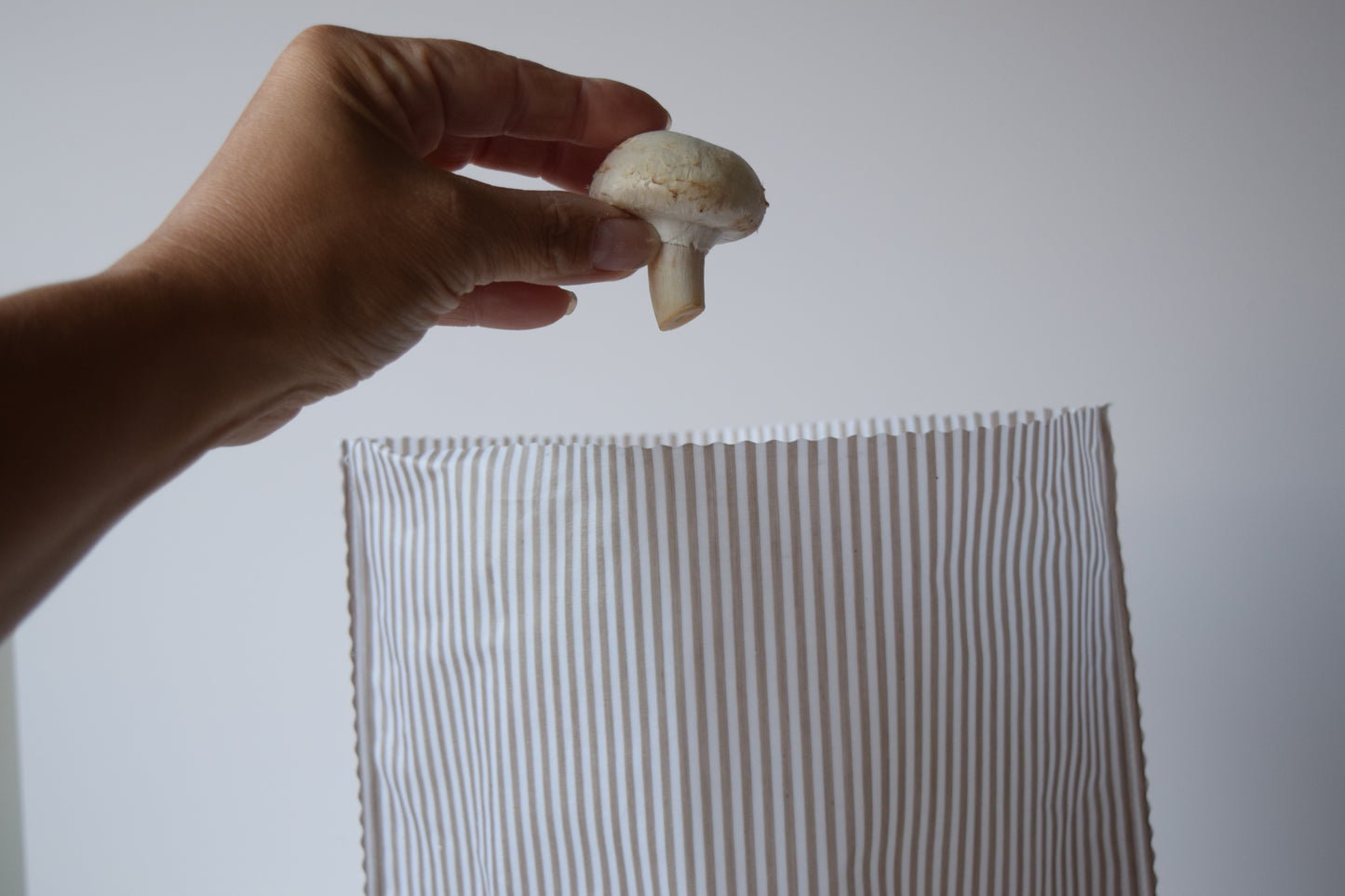 Lou-bees Beige Striped Beeswax Bag.